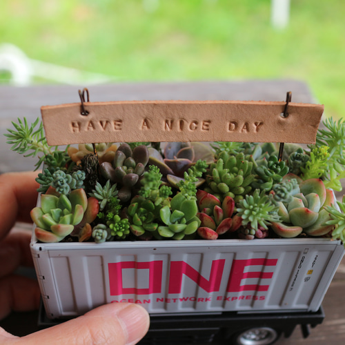 多肉植物寄せ植え そのまま飾れる ブリキバッグ型プランター