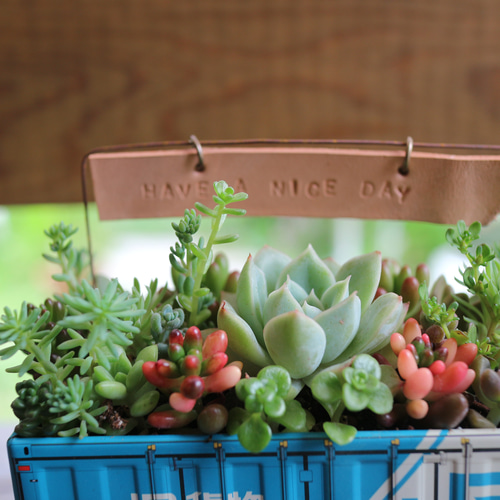 そのまま飾れる】多肉植物やセダムで寄せ植えしたブリキの貨物コンテナ