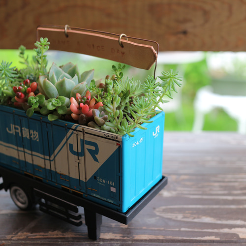 そのまま飾れる】多肉植物やセダムで寄せ植えしたブリキの貨物コンテナ