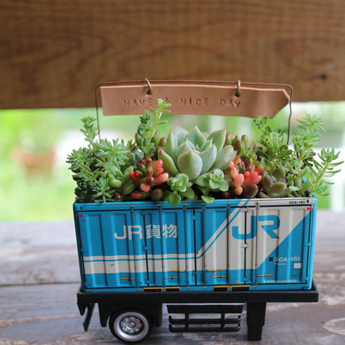 そのまま飾れる】多肉植物やセダムで寄せ植えしたブリキの貨物コンテナ