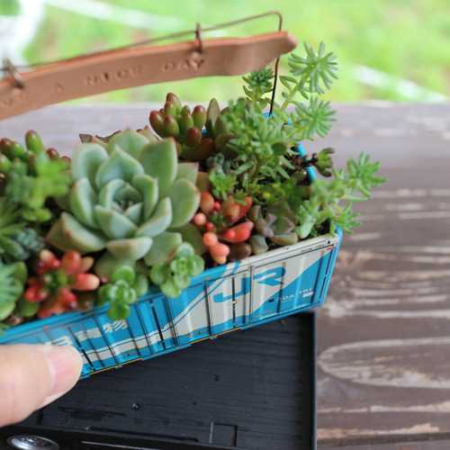 そのまま飾れる】多肉植物やセダムで寄せ植えしたブリキの貨物コンテナ