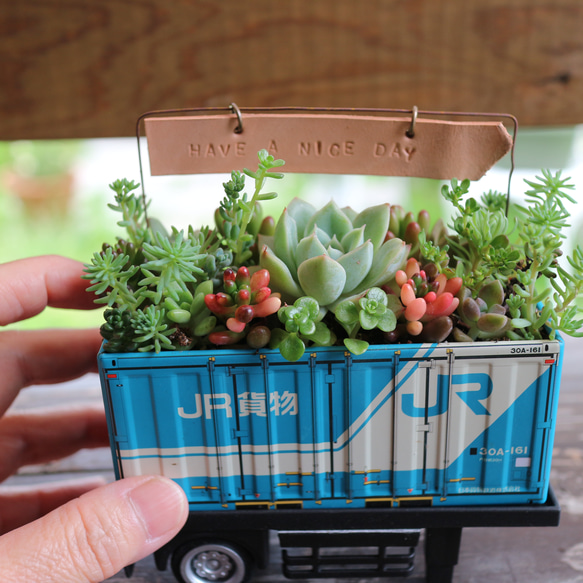そのまま飾れる】多肉植物やセダムで寄せ植えしたブリキの貨物コンテナ