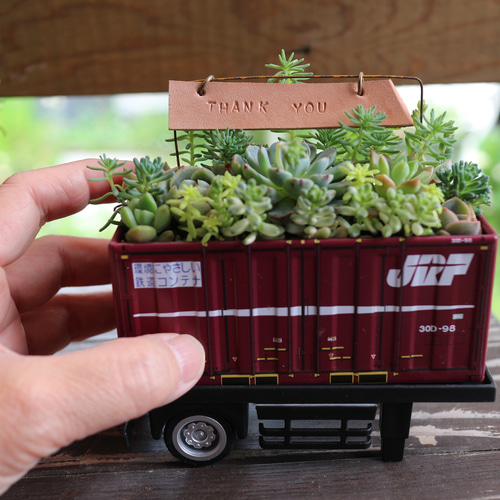 そのまま飾れる】多肉植物やセダムで寄せ植えしたブリキの貨物