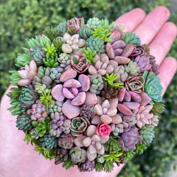 豪華❣️そのまま飾れる寄せ植え❣️オーダー品＊ 豪華❣️そのまま飾れる寄せ植え❣️オーダー品＊