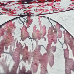 影を落とす 写真をプリントしたラインチョーカー　夏の花 7枚目の画像