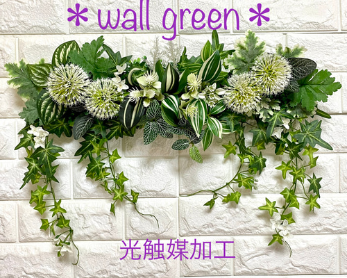 光触媒加工］☆ベビーアイビーとアリウムのウォールグリーン【No.37