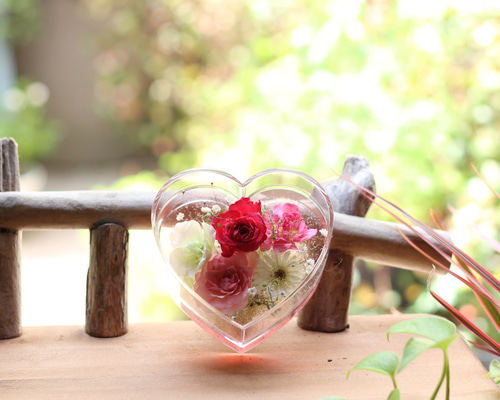 41c7f66bdd561c905ab5ddfc759997