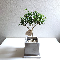 5ef8917df7d990657c458458e7a4bd