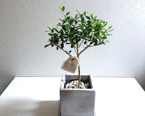 5ef8917df7d990657c458458e7a4bd