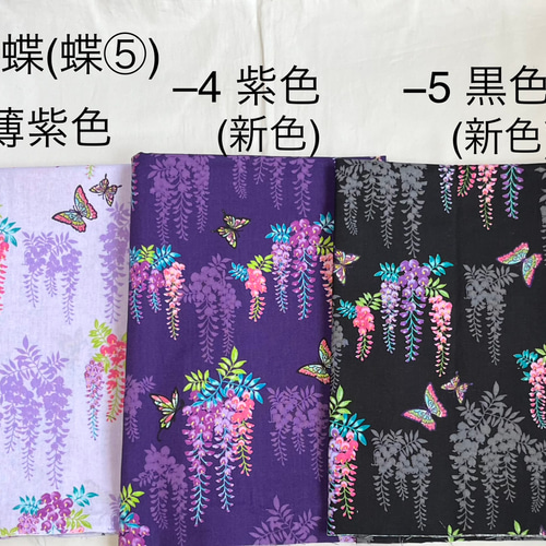 Amazon.co.jp: 蝶標本、昆虫標本、絶妙な蝶の昆虫標本、本物の蝶