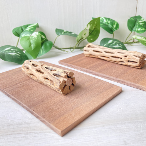 足辺りの優しいカクタス止まり木（Sサイズ） おもちゃ・ペット小物