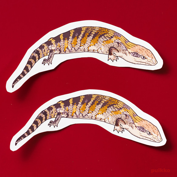 密封型貼紙 Aojita 蜥蜴（2 件套） 第1張的照片