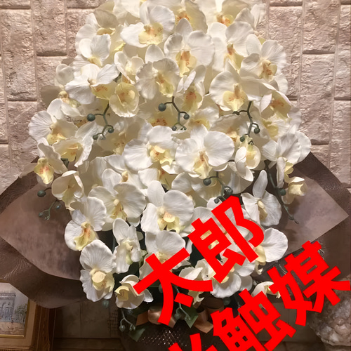 光触媒 人工観葉植物 ウォールグリーン フェイクグリーン 胡蝶蘭10本.w