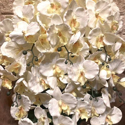 光触媒 人工観葉植物 ウォールグリーン フェイクグリーン 胡蝶蘭10本.w