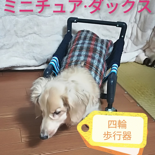 トイプードル4輪 リハビリ 食事補助 犬用車椅子 介護用品 犬の