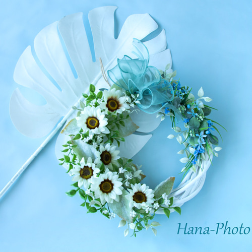 限定1個＞クールなホワイトナイト（白ヒマワリ）の晴れやかブルーの