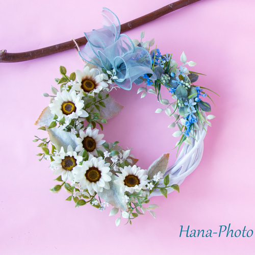 限定1個＞クールなホワイトナイト（白ヒマワリ）の晴れやかブルーの