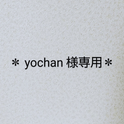 『yochan 様専用』 1枚目の画像