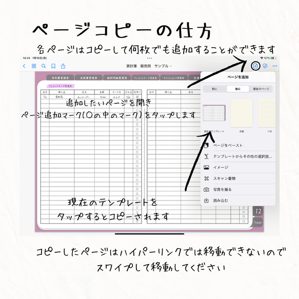 【iPadで家計管理】デジタル家計簿⭐︎全21ページ（月間1ページタイプ） 13枚目の画像