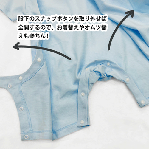 だいすきなぱぱ Amazon.co.jp: だいすきなパパへ : ジェシカ バグリー, Bagley