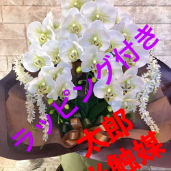 光触媒 人工観葉植物 ウォールグリーン フェイクグリーン リアル胡蝶蘭7848