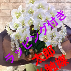 光触媒　人工観葉植物　ウォールグリーン　フェイク　胡蝶蘭お供え花6341