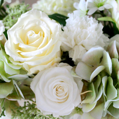プリザーブド&アーティフィシャルフラワー】白薔薇のエレガントな