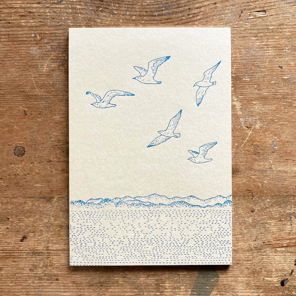 凸版印刷明信片百合海鷗 第3張的照片