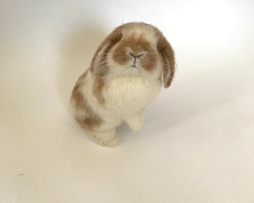 うさぎ 羊毛フェルト ロップイヤー ホーランドロップ ミニうさぎ
