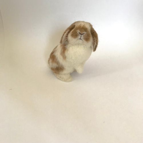 うさぎ 羊毛フェルト ロップイヤー ホーランドロップ ミニうさぎ