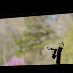 肥皂泡-提供給您- 第4張的照片