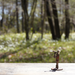 肥皂泡-提供給您- 第2張的照片