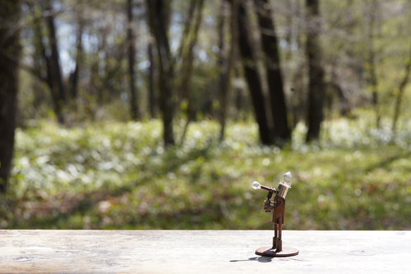 肥皂泡-提供給您- 第2張的照片