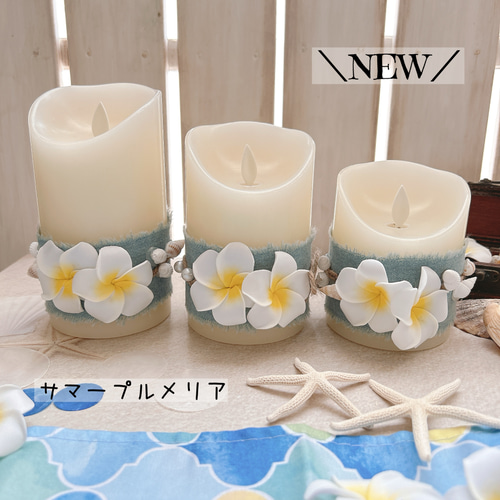 リニューアル】ボタニカルユーカリ着せ替えLEDキャンドルセット