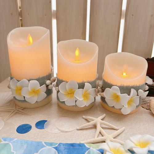 リニューアル】ボタニカルユーカリ着せ替えLEDキャンドルセット