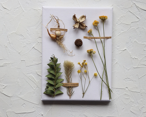 ✳︎3つ子の球根 植物標本風フラワーキャンバス✳︎ ハーバリウム