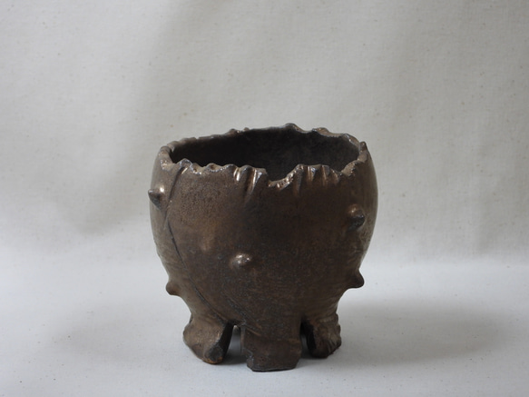 金彩棘陶製植木鉢(TS) 1枚目の画像
