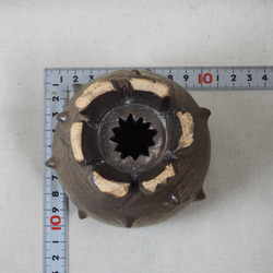 金彩棘陶製植木鉢(TS) 13枚目の画像