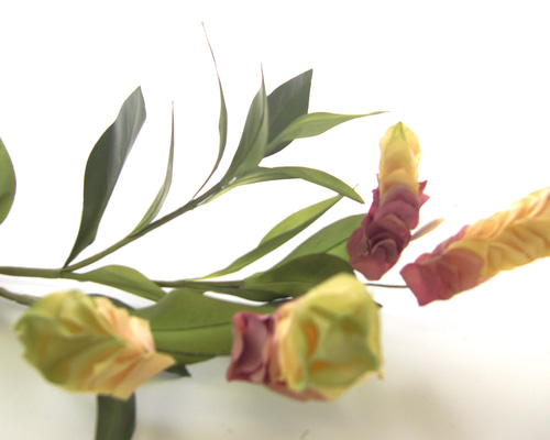 5313151a0eff119ce06b9afa0053f4