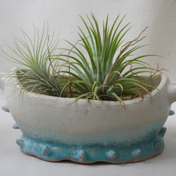 海感陶製植木鉢(d) 1枚目の画像