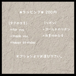 【再販】■プミラリース■玄関リース■Greenがお出迎え■ 花　グリーン　リース　フラワーリース　母の日 6枚目の画像