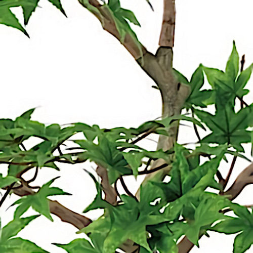 お歳暮・冬ギフト特集 - おとなの週末お取り寄せ倶楽部 光触媒 人工観葉植物 ウォールグリーン フェイクグリーン フラワー・ガーデニング