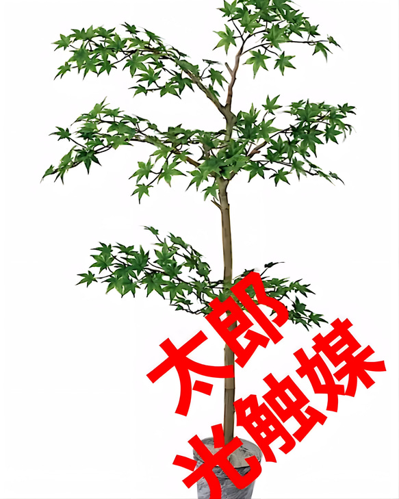 光触媒 人工観葉植物 ウォールグリーン フェイクグリーン