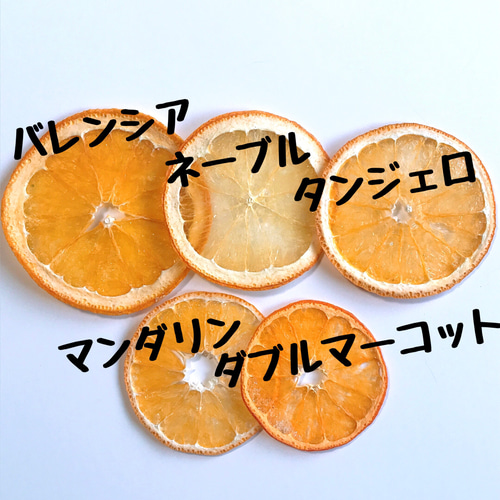 みかん ミカン 押しフルーツ 6枚 オレンジ キャンドル クリア