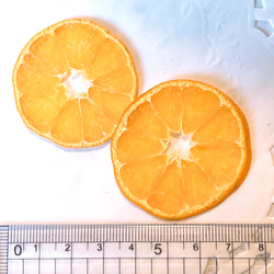 みかん ミカン 押しフルーツ 6枚 オレンジ キャンドル クリアリウム レジン 素材 2枚目の画像