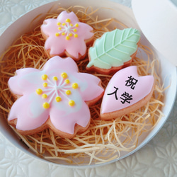 桜のお祝いアイシングクッキーギフト 1枚目の画像