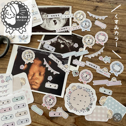 シール】マタニティ・エコーフレーク(くすみカラー) ＊ 母子手帳