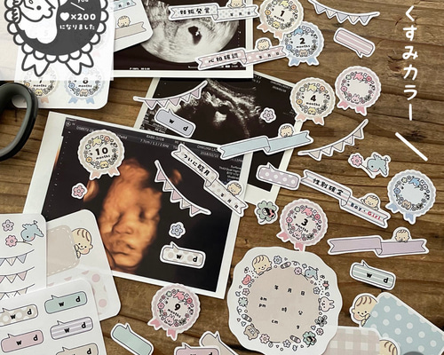 シール】マタニティ・エコーフレーク(くすみカラー) ＊ 母子手帳