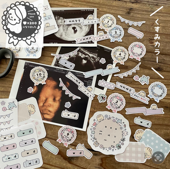 シール】マタニティ・エコーフレーク(くすみカラー) ＊ 母子手帳