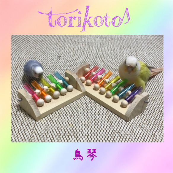 torikoto♪ ～鳥琴～ おもちゃ・ペット小物 studio rereboo